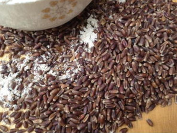 欧洲诡异的红舞鞋事件,诡异的红舞鞋事件