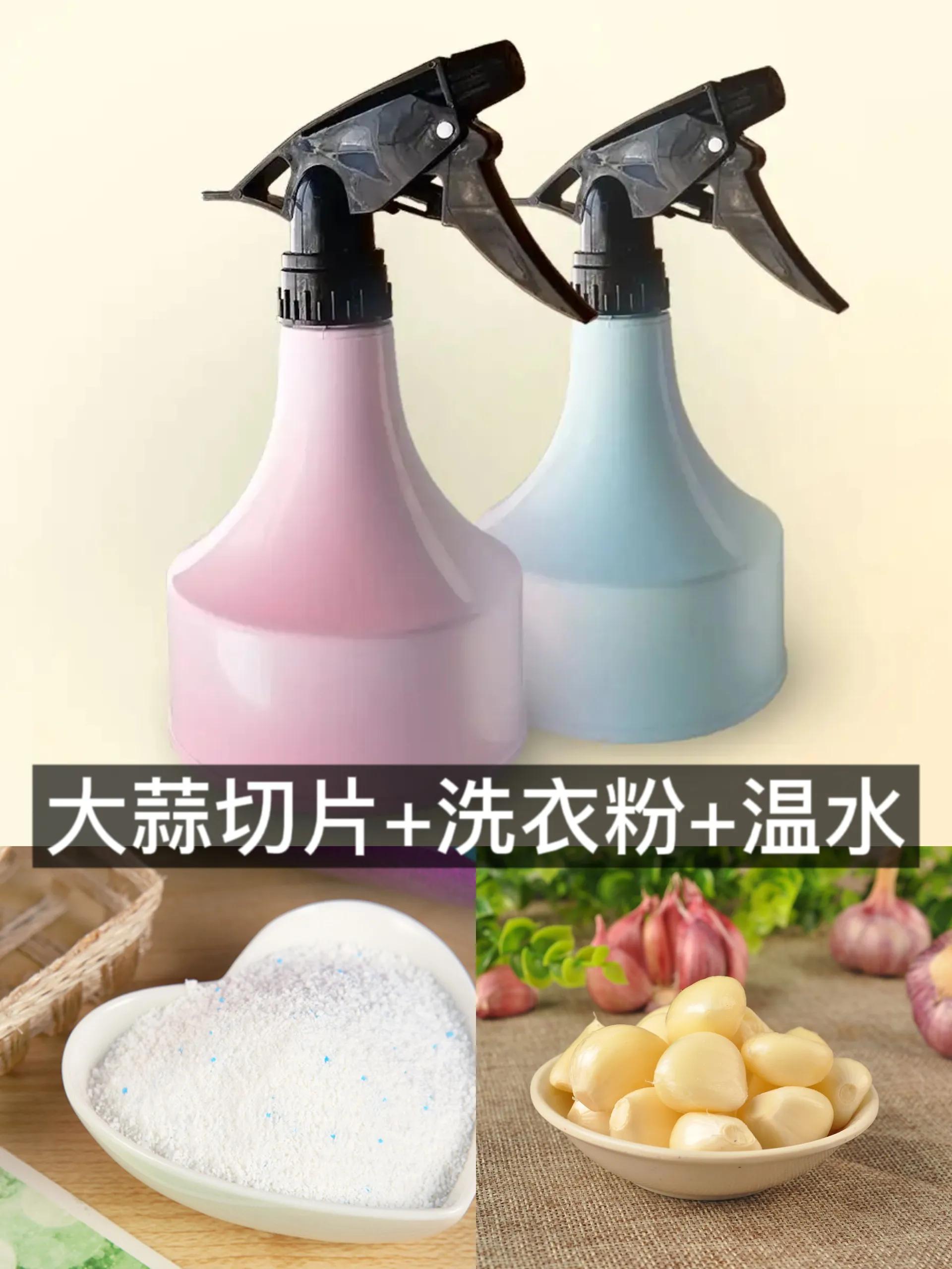 厨房消灭蟑螂最快方法,硼砂消灭蟑螂最有效方法