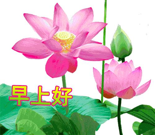 9月13号早上好问候图片,9月20日早上好问候图片