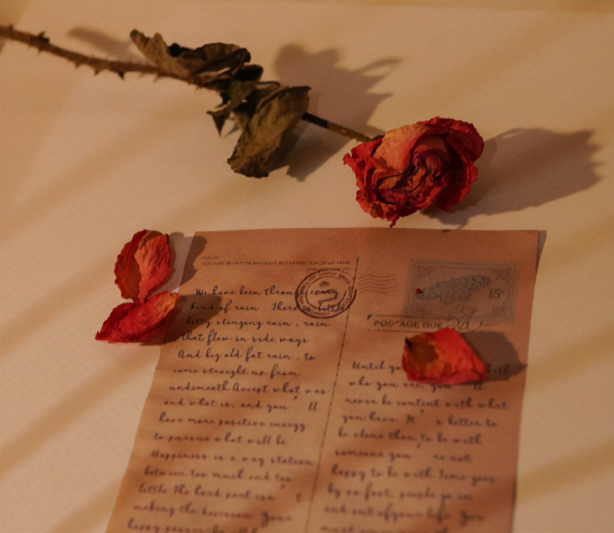 情感文案活出自己的风景,情感文案一朵花