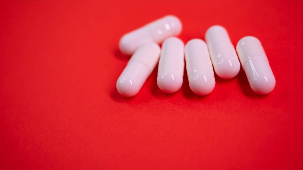 阿莫西林针对的是细菌还是真菌,阿莫西林到底是不是消炎