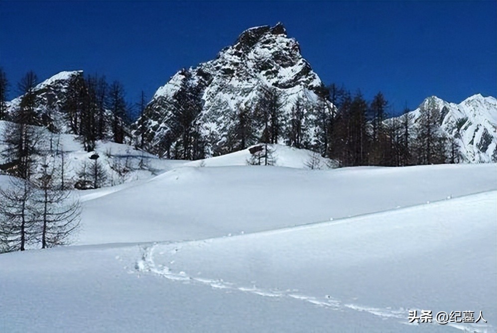 64年勘测队遭遇凶猛狼群，战士心软投喂食物，头狼带群狼前来报恩