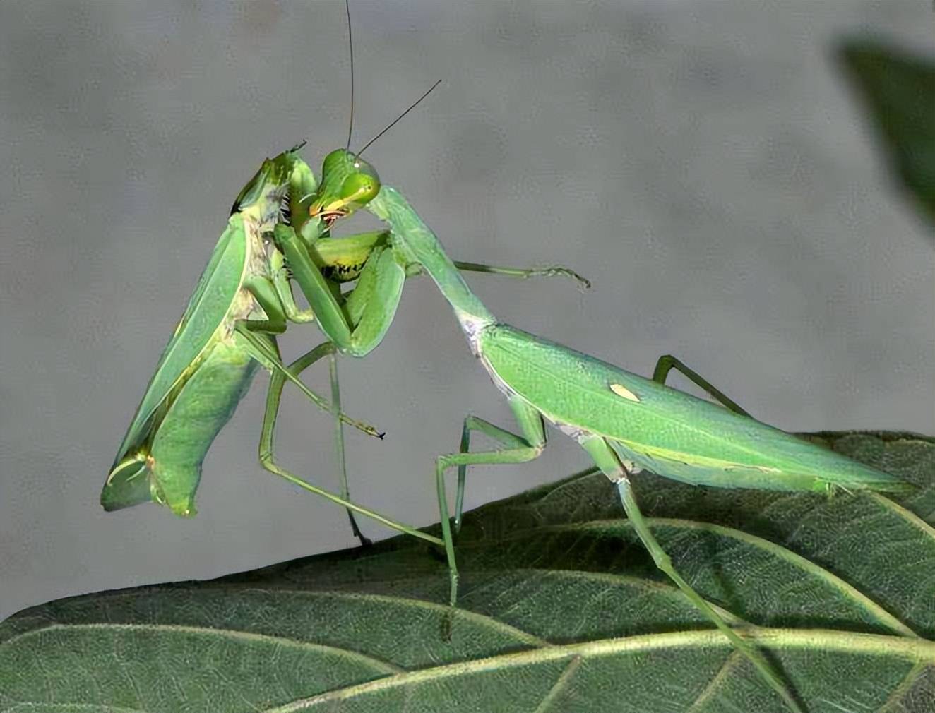 46岁生孩子对自己生活的利弊,46岁生二宝感受