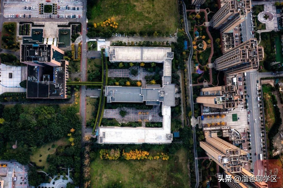 石室教育集团,成都石室中学教育集团学校