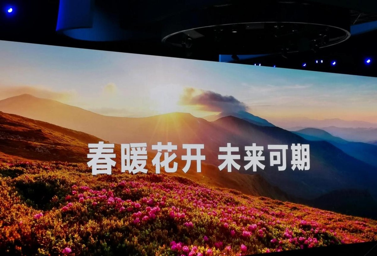 华为p60artdxomark影像最新得分榜,dxomark最新排名华为p60pro