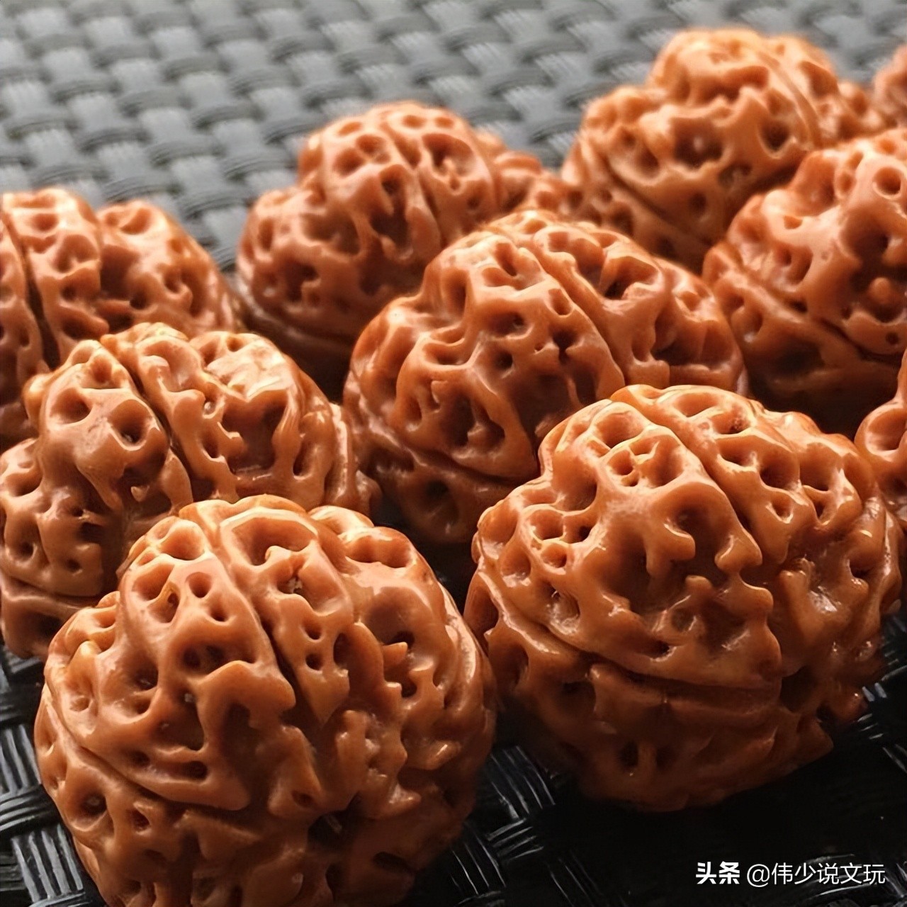 金刚菩提上色最好的方法,金刚菩提快速上色哪种上色液好