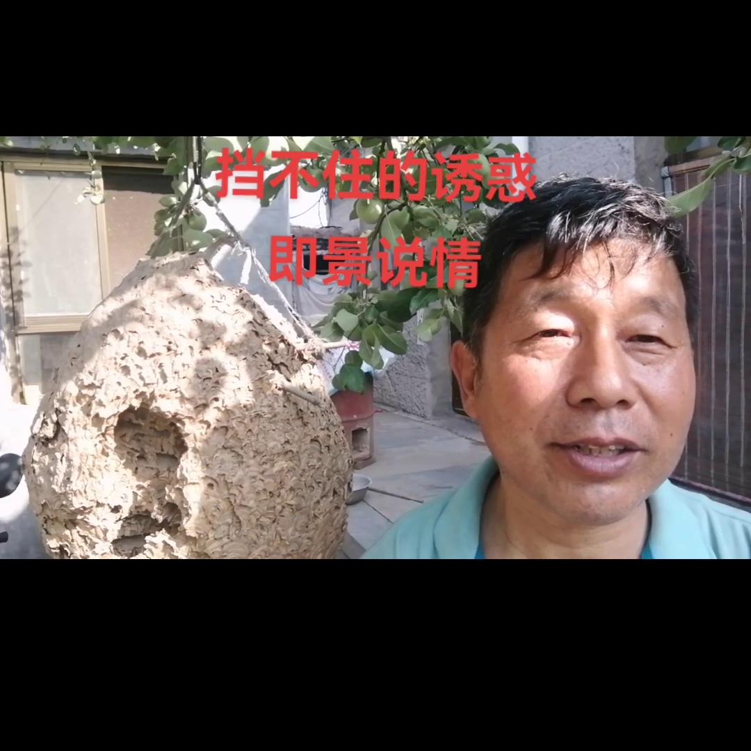 夫妻间最好的礼物该是什么呢,夫妻之间最珍贵的礼物是彼此