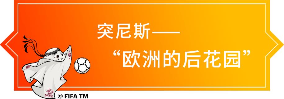 卡塔尔世界杯32强巡礼|“非洲强队”突尼斯