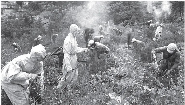 朝鲜战场上美军抽调了多少兵力,朝鲜战场上美军的弹药有多充足