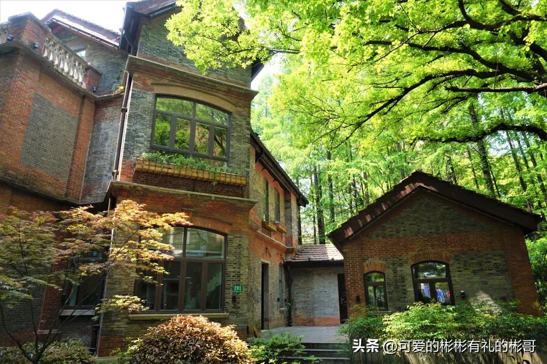 上海理工大学有发展前途吗,上海理工大学就业率全国排名