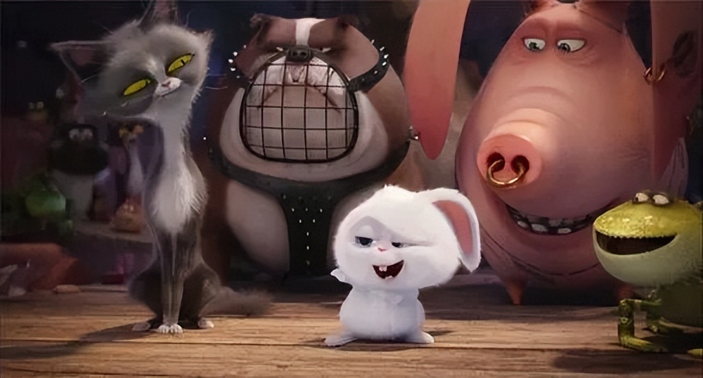 爱宠大机密这类电影推荐,welcometonewyork爱宠大机密