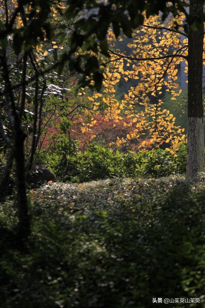 芜湖旅游攻略教堂,芜湖鸠兹风景区