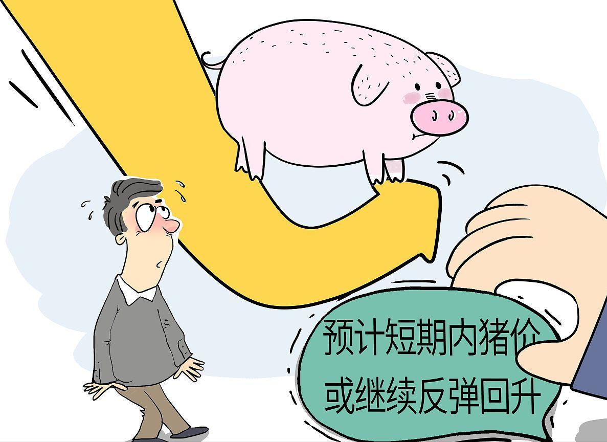 今日猪价未来5-10天猪价预测,猪价涨不停5月份猪价走势如何