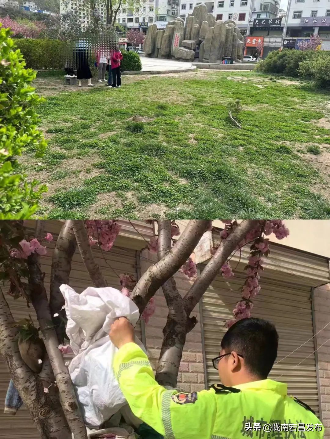 春风十里文明赏花倡议书,文明赏花从我做起倡议书