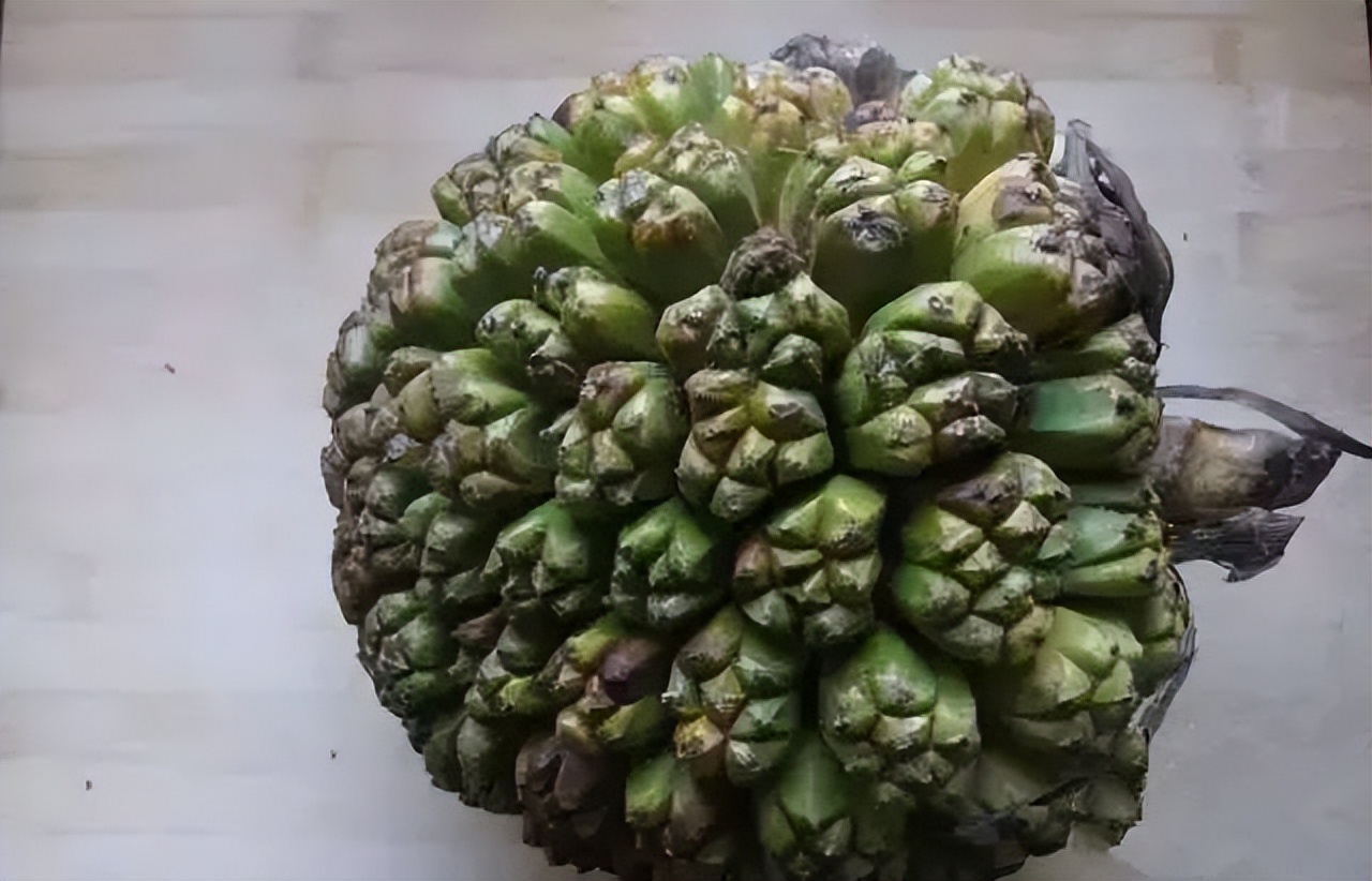 文玩圈的短命鬼，你都见过谁？