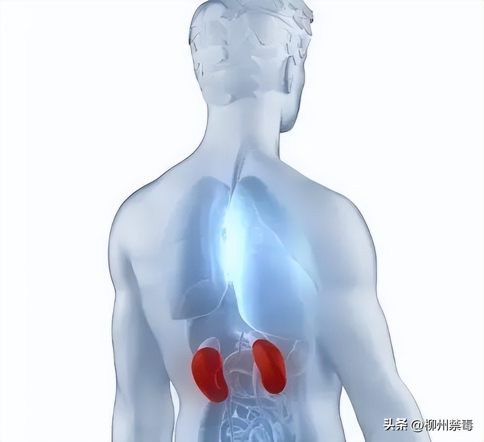 高中生吃布洛芬肾衰竭,高三学生吃止痛药肾衰竭