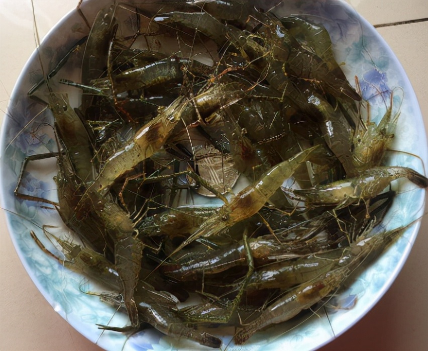 正在消失的六种河鲜,即将消失的10种河鲜