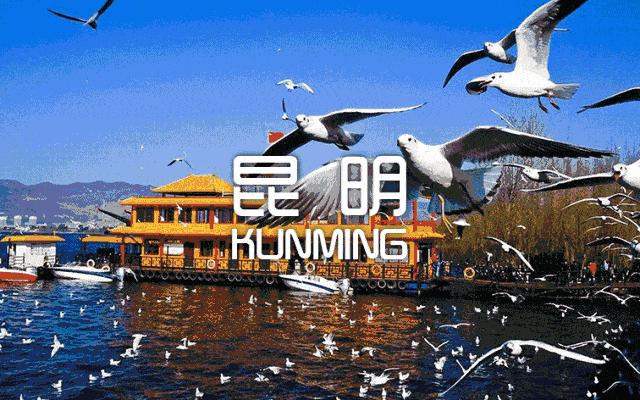 昆明有人文，但似乎不太相信工作