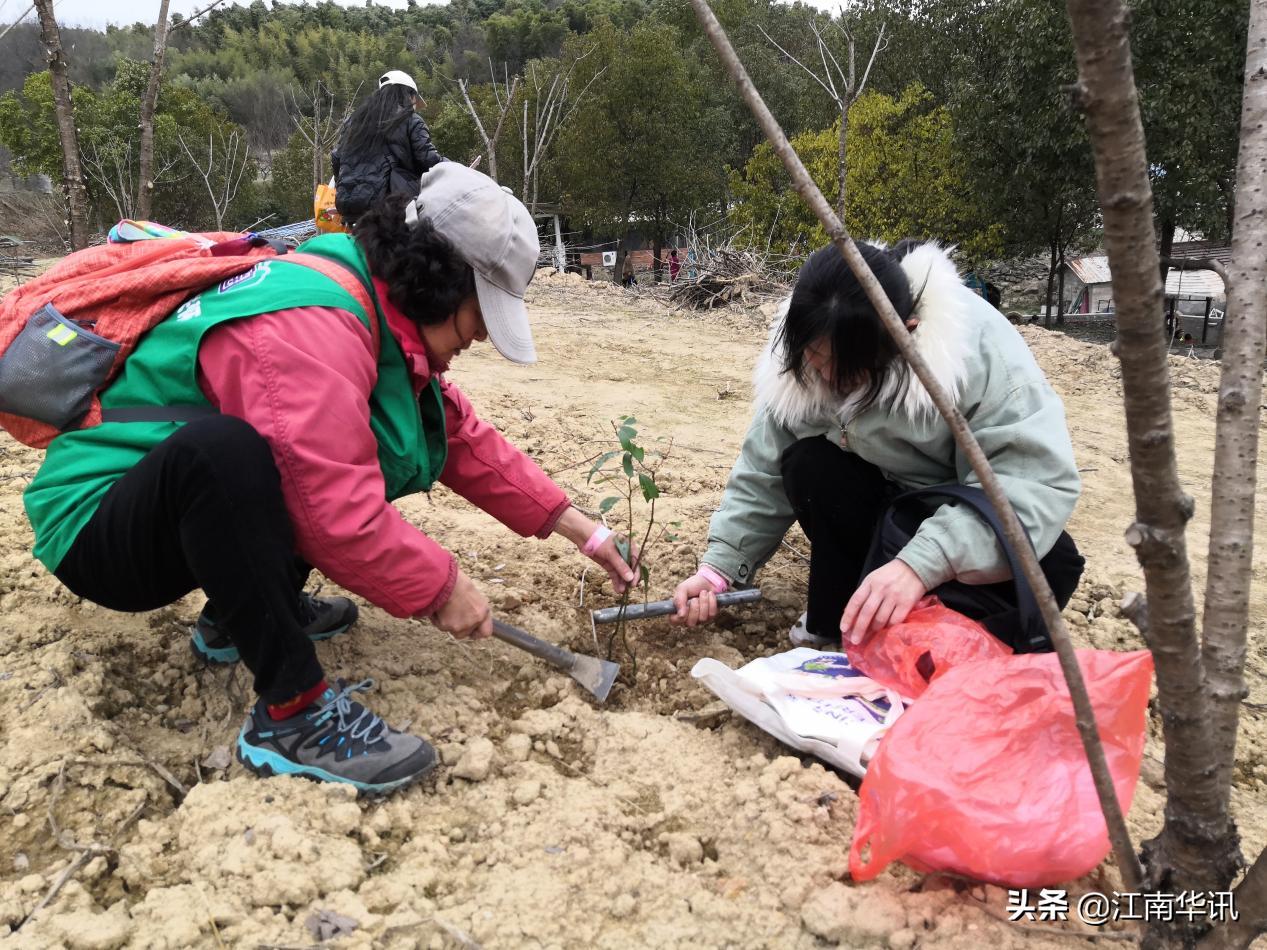 在春天播下美丽的种子,在春天里播下希望的种子ppt
