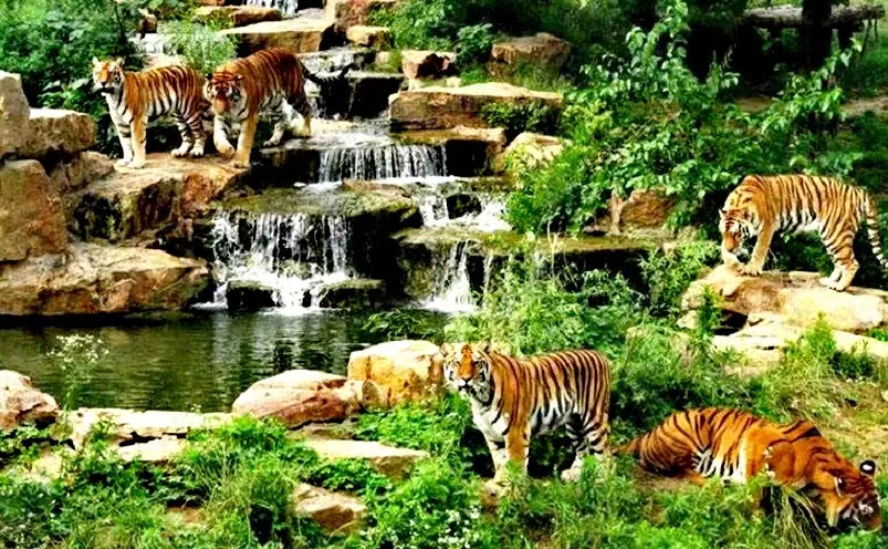 扬州旅游十大必去景点排行榜最新,扬州旅游必去十大景点推荐一下