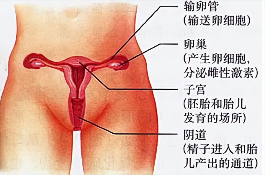 82％女性称同房会痛苦！如何才能拥有和谐的*生活性**？男女都该了解