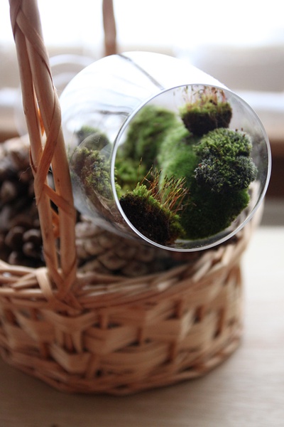 男子上山采药意外采到红石,农村小伙上山摘野果不小心摔倒了