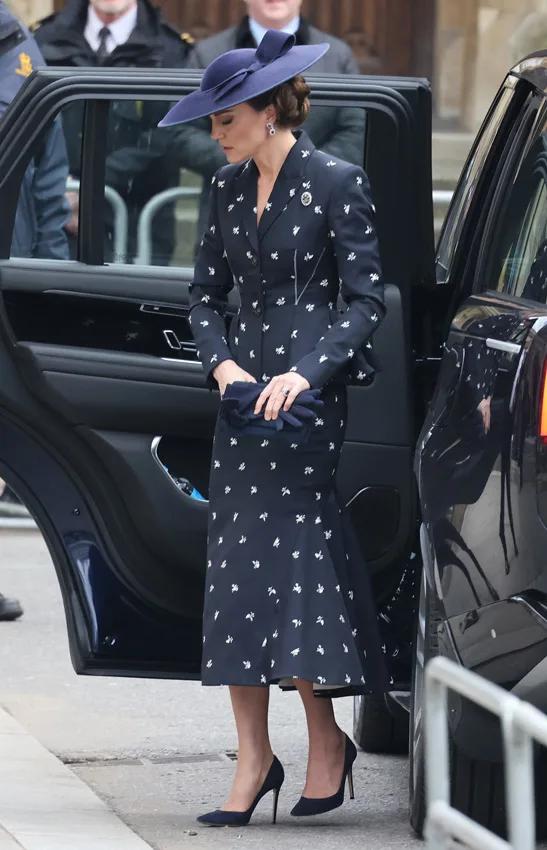 威尔士王妃纪录片,威尔士王妃向国王行礼