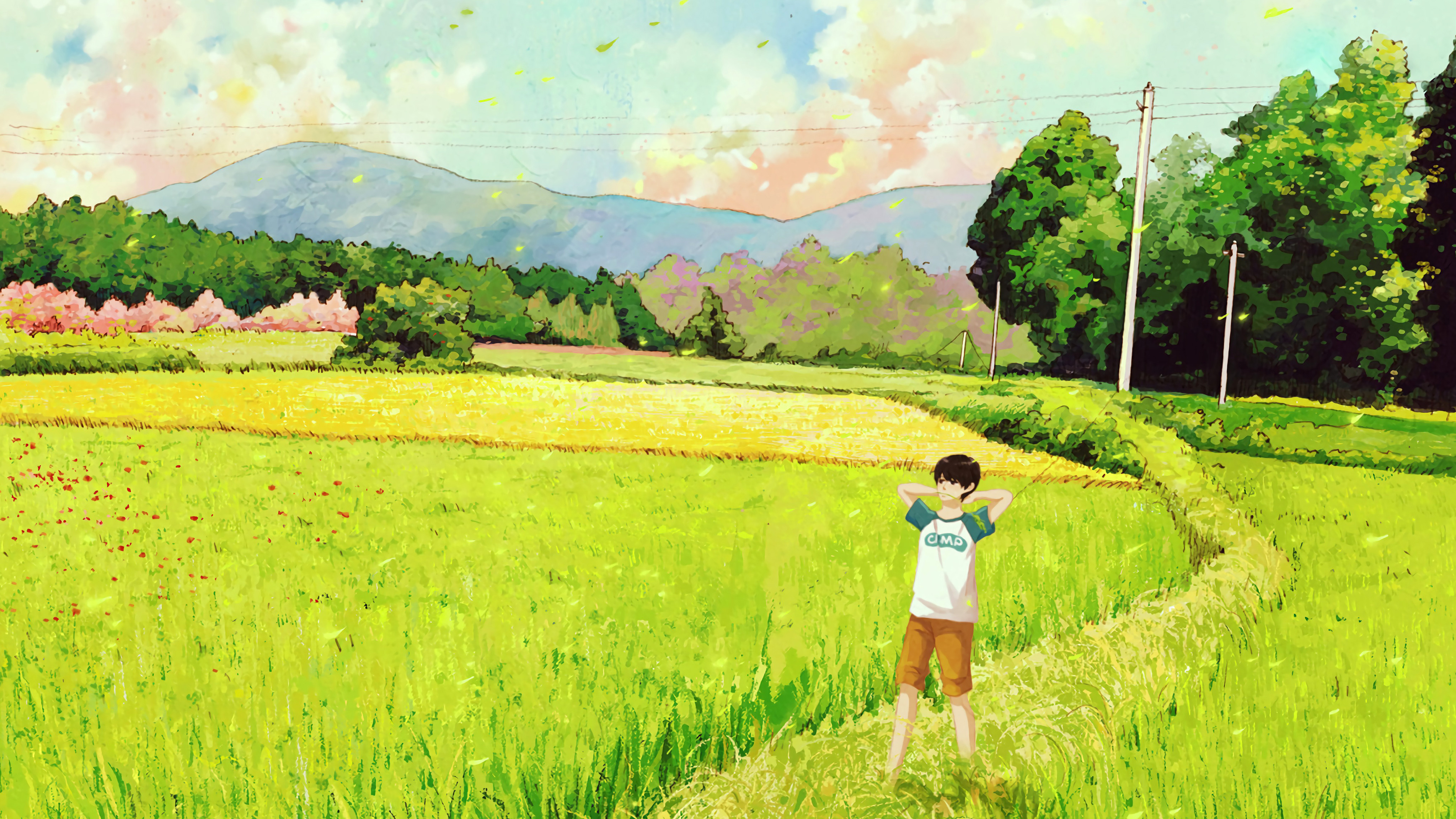 好看的电脑桌面壁纸高清全屏可爱,电脑桌面壁纸怎么设置自己的图片