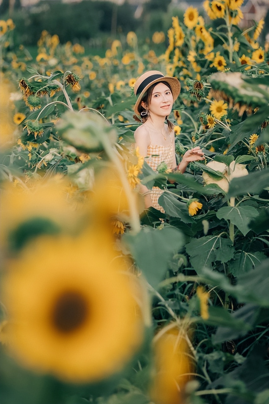 向日葵人像摄影后期技巧,拍向日葵人像参数设置