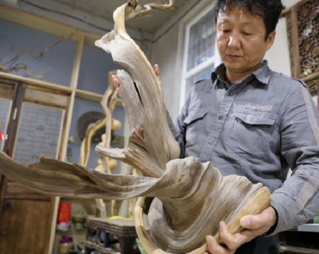 山西小伙卖房、花光百万，买了一屋烂树根，11年后价值无法估量