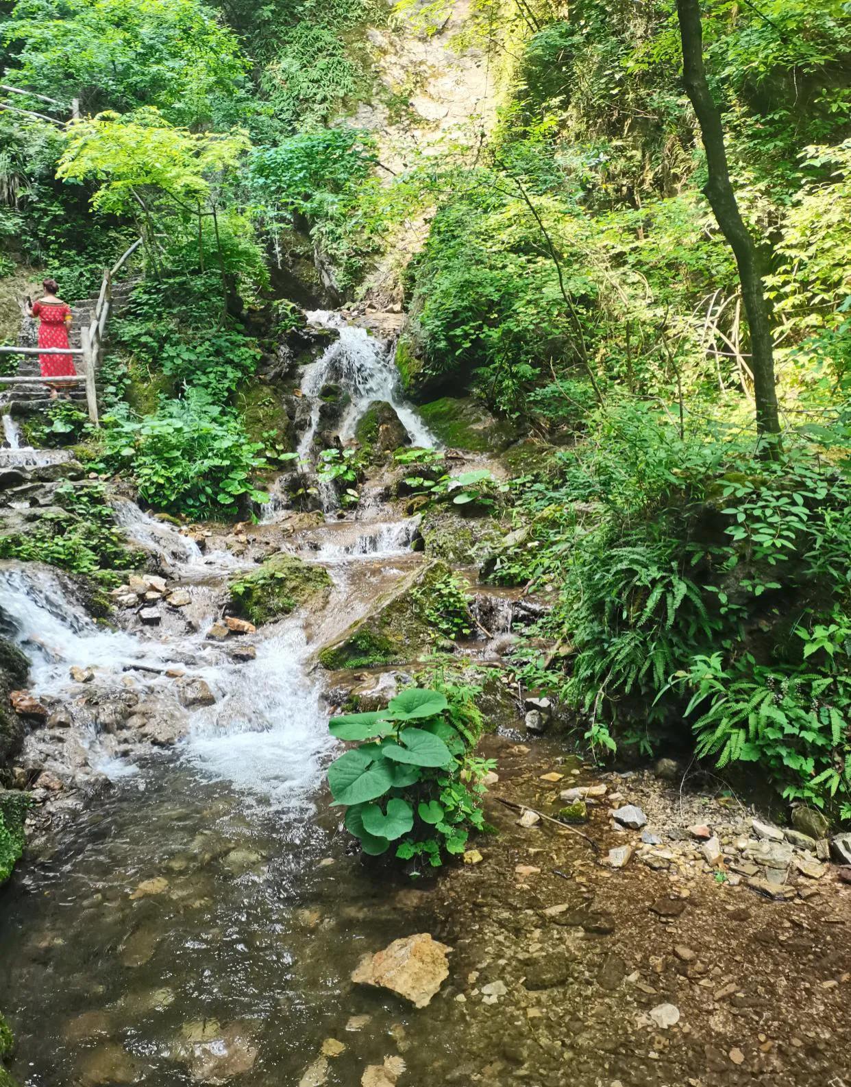重渡沟音乐完整版,重渡沟菩提树