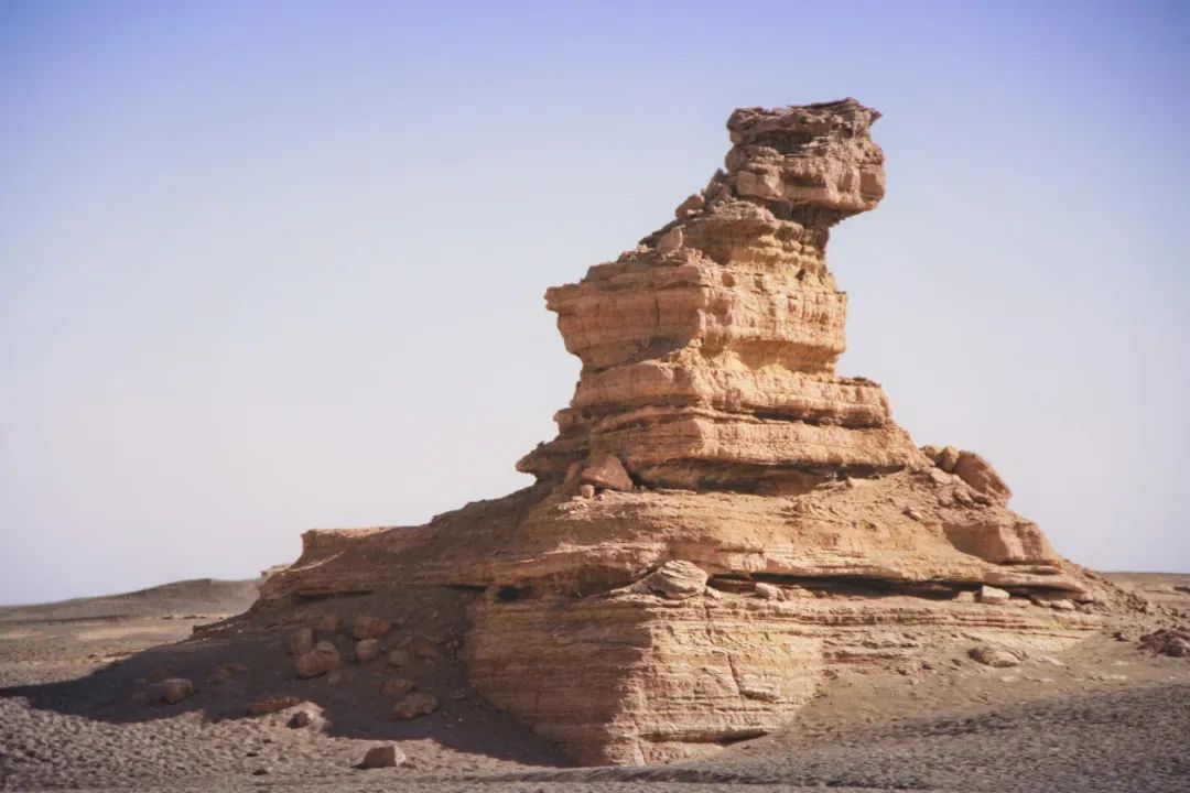 100条历史典故完整版,100个文学典故让你读懂半个中国