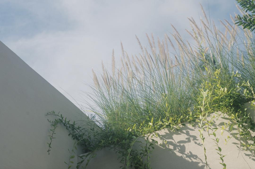 三亚沙滩和碧海蓝天,三亚有清澈的海水和美丽的沙滩