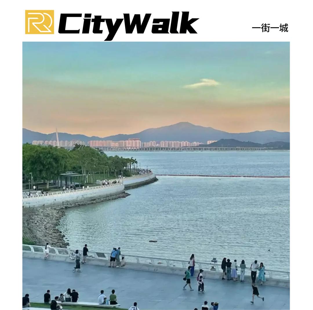 广东深圳蛇口房价,深圳蛇口真的像蛇口吗