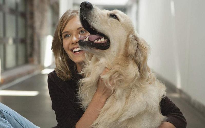 狗把我当主人会有哪些表现,狗狗把你当亲妈的行为