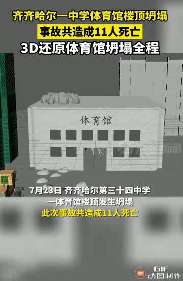 大连棒棰岛海鸥图片,大连棒棰岛有海鸥么