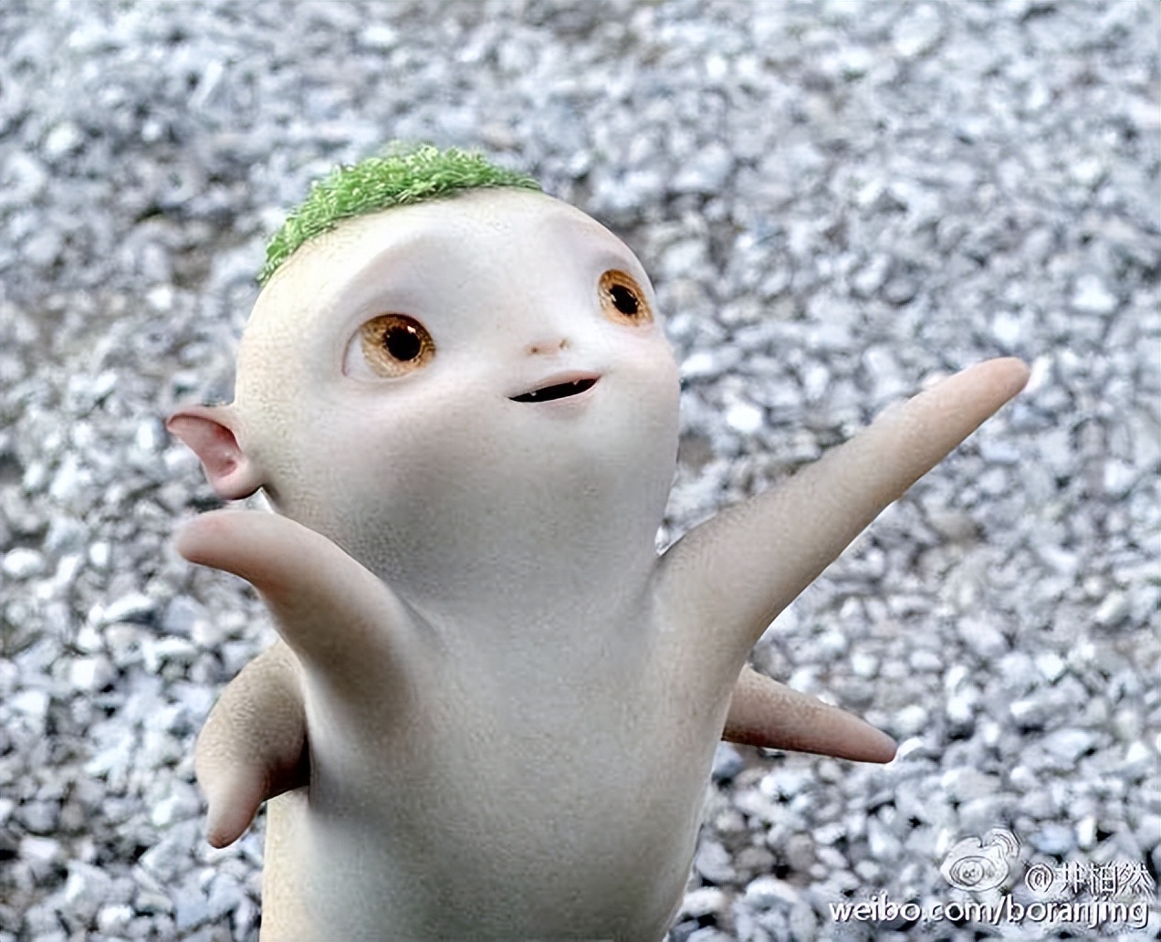 捉妖记电影想表达什么,捉妖记这部电影讲述了什么