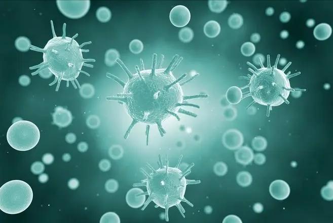 弯曲杆菌在什么地方有,弯曲杆菌有什么用