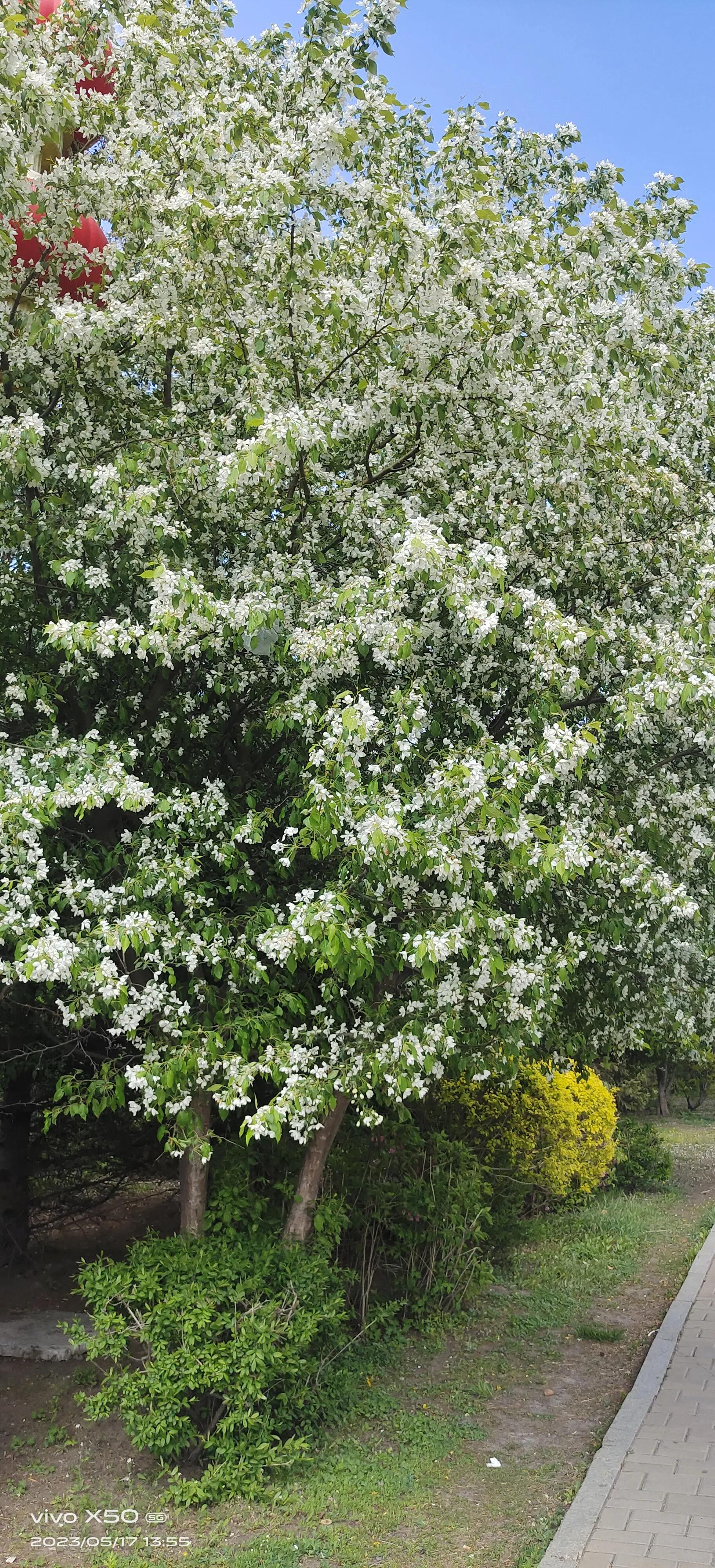 朋友卖房算计我，还恶人先告状，为多挣我几万块连环计都使出来了