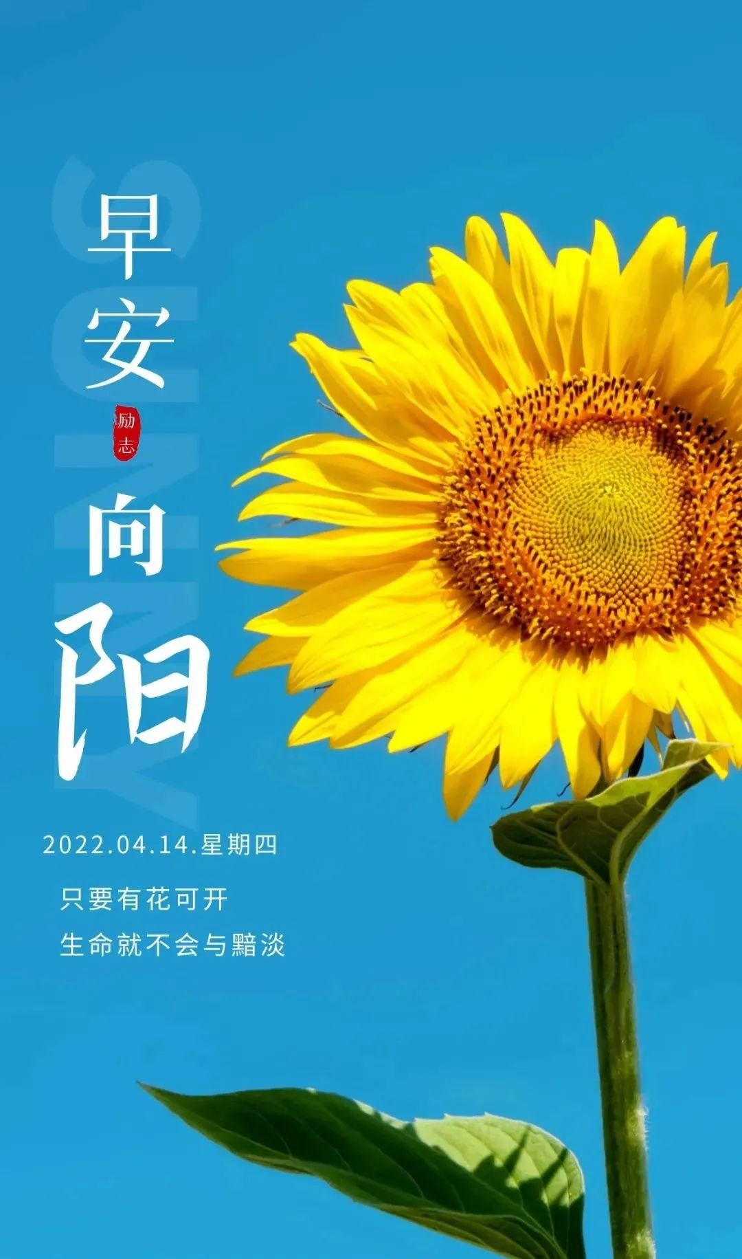 2020早安心语正能量简单一句话,早安心语经典语录简短图片