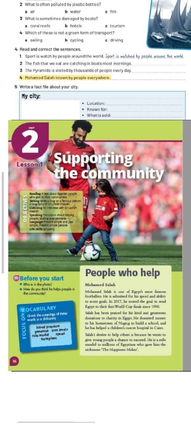 萨拉赫埃及,埃及法老王萨拉赫是伊斯兰教吗