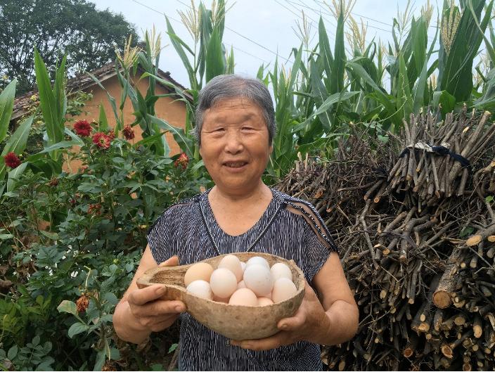 99公益日一起做公益主题活动,99公益日将公益进行到底