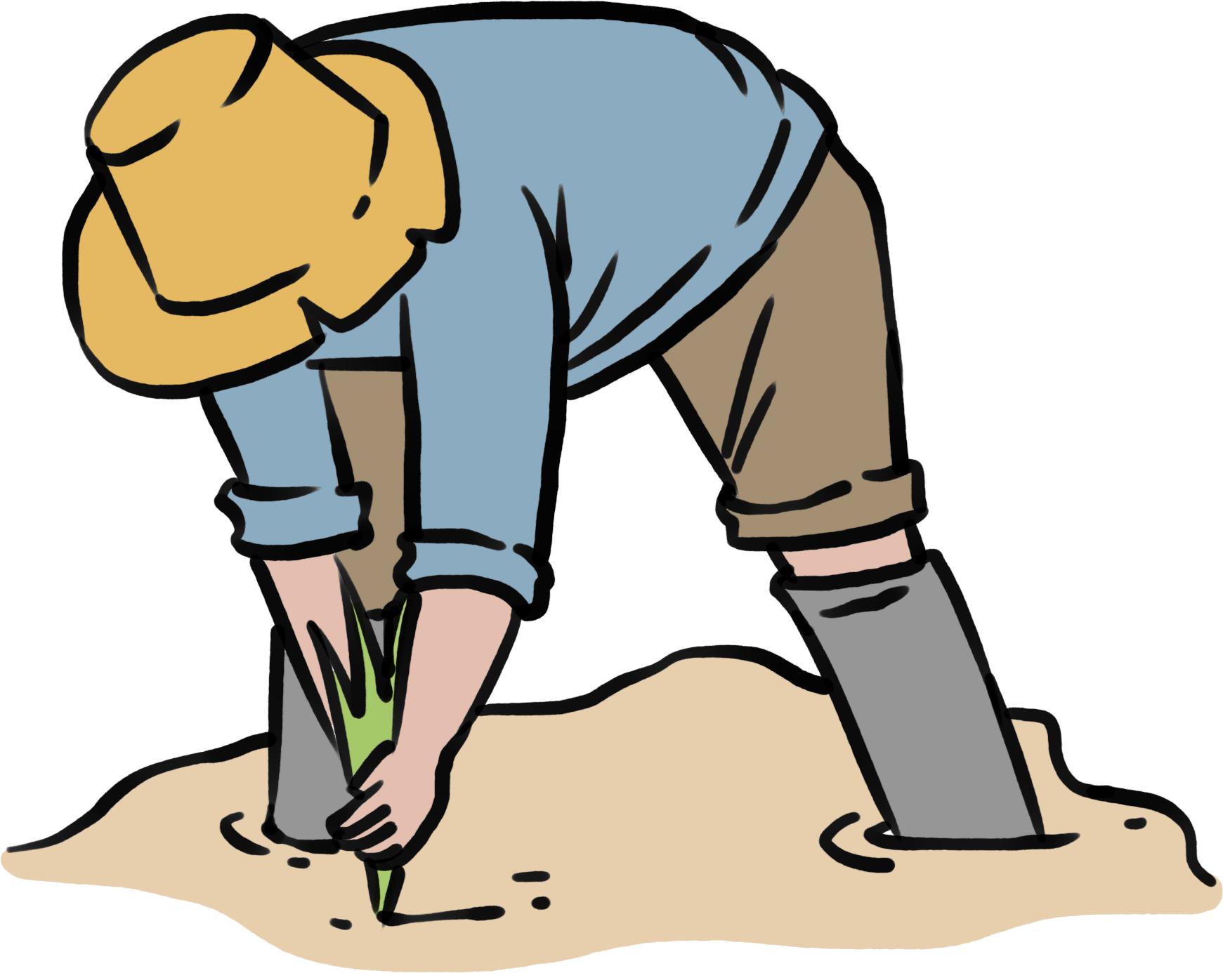 四川特色美食排行榜前十,四川特色美食前十名