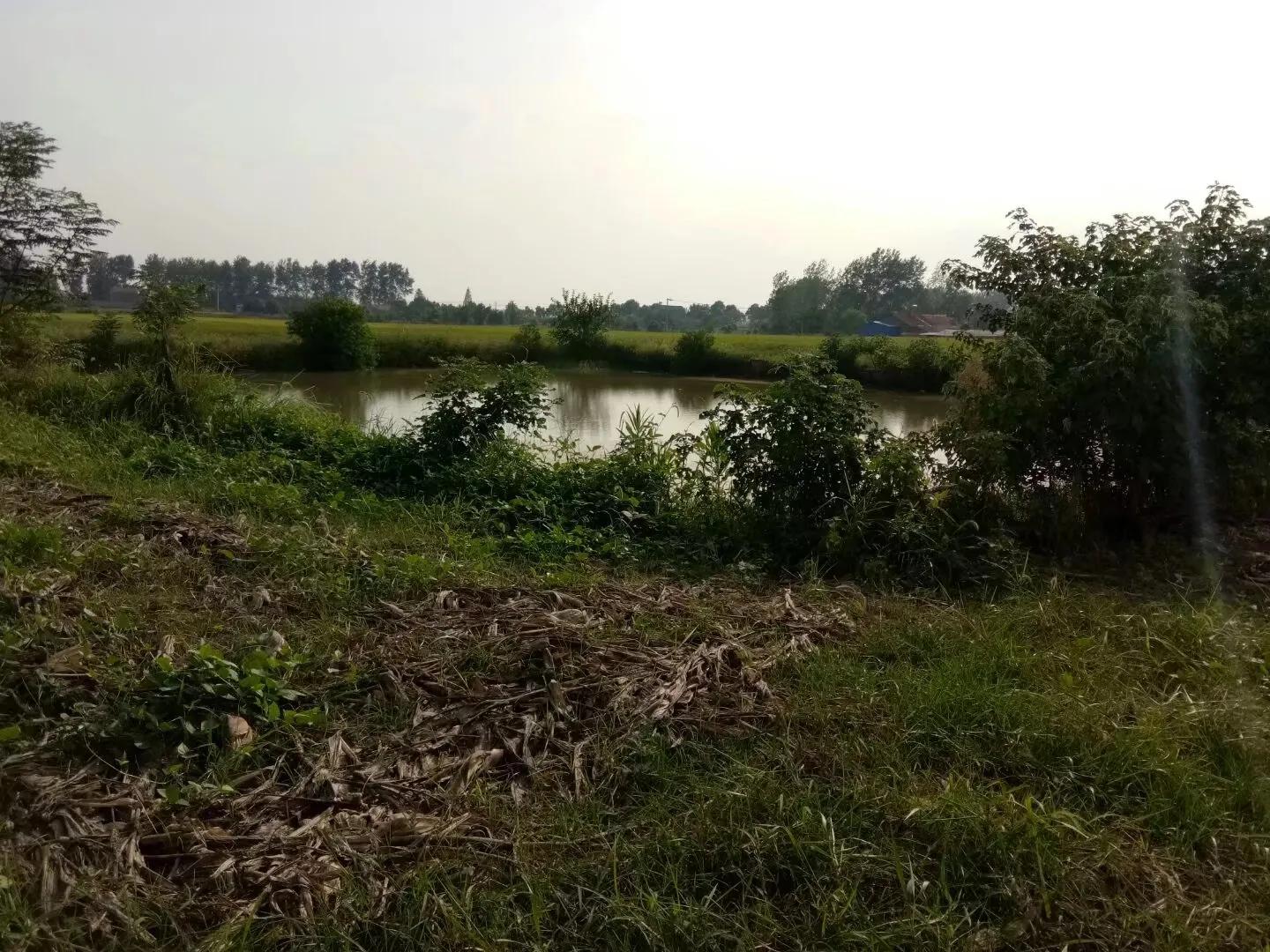 年关将至往事清零,思绪万千又年关