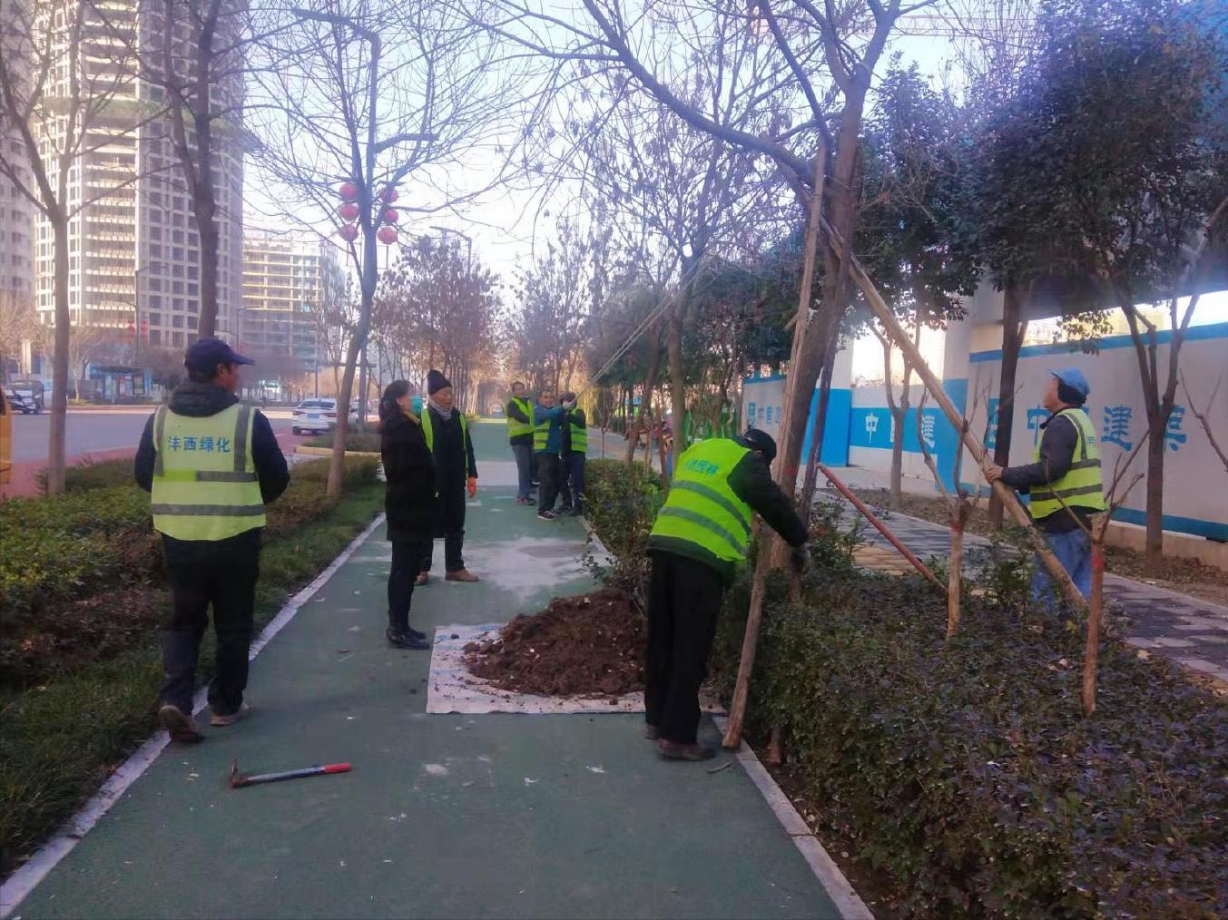 拍摄沣西新城渭河景观绿化,新城区园林绿化水平