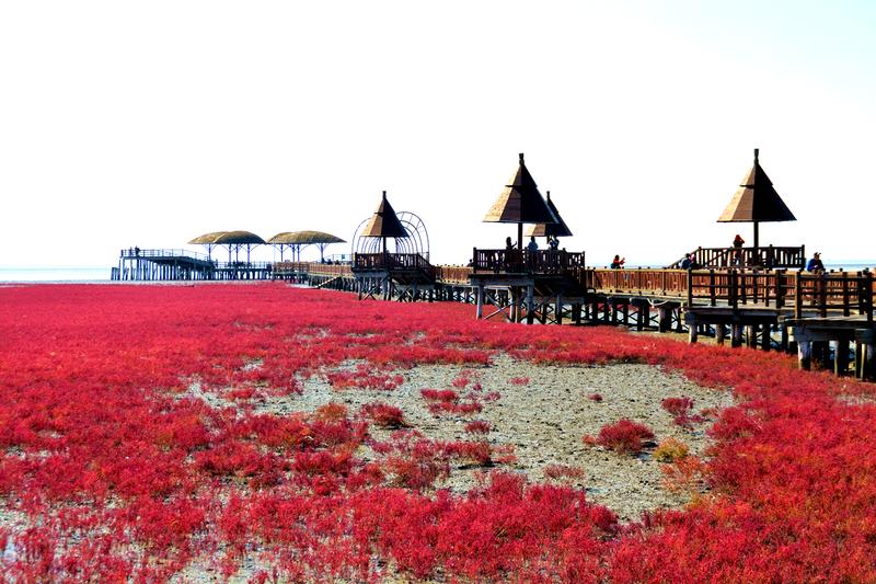 辽宁盘锦在哪个地方,去盘锦旅游哪里好