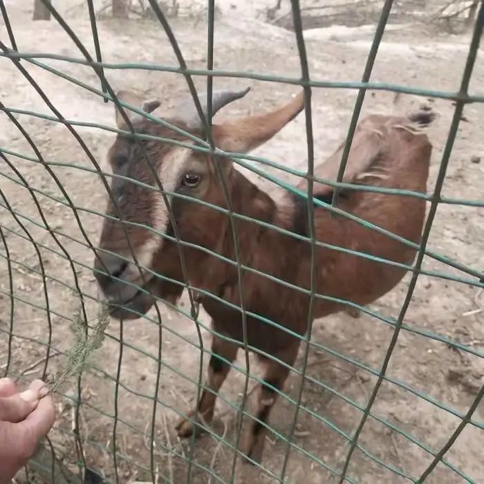 来农家乐的乐趣,来山水农家享受大自然的美景