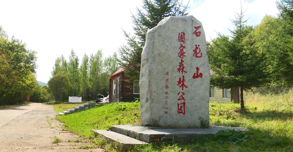 奥运冠军网红打卡地,奥运冠军之城有哪些