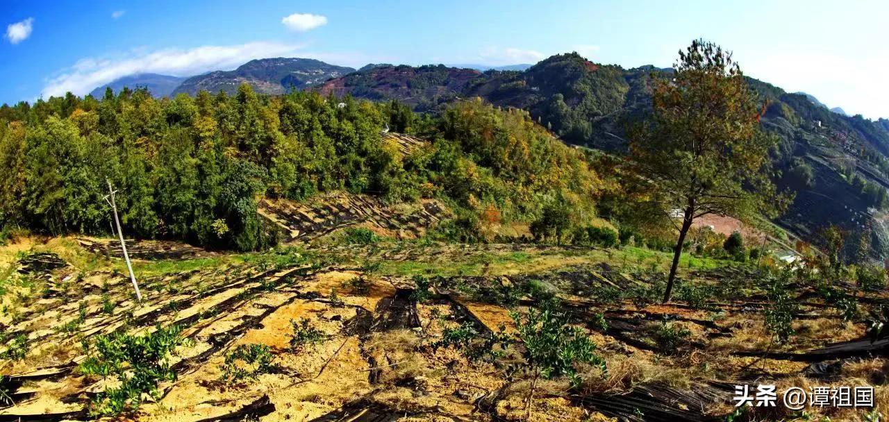 巴东县沿渡河镇石喊山,巴东县沿渡河镇石喊山四组