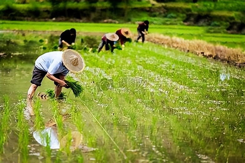 乡村振兴收入变化情况调研,去农村调研农民收入有哪些难点
